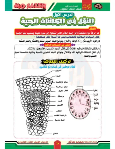 شرح مع اسئلة بالاجابات(النقل في الكائنات الحية، الخشب واللحاء في النبات) مع مستر محمد صالح في الاحياء ثانية ثانوي الترم الاول PDF