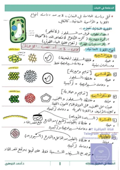 ملخص مادة الأحياء (جزء الدعامة في النبات) للصف الثالث الثانوي شامل (شرح وأسئلة غير محلولة) PDF