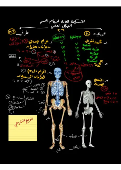 ملخص مادة الأحياء (الهيكل العظمي لجسم الإنسان) للصف الثالث الثانوي شامل (شرح ورسومات توضيحية) PDF