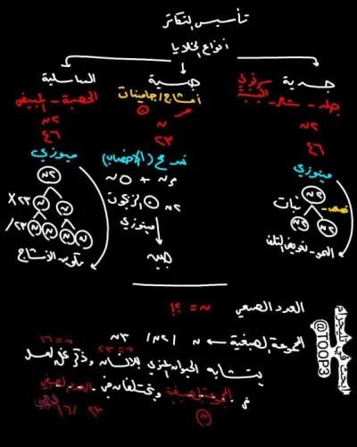 سبورات شرح أحمد الجوهري للتكاثر في النبات في الأحياء للثانوية العامة PDF
