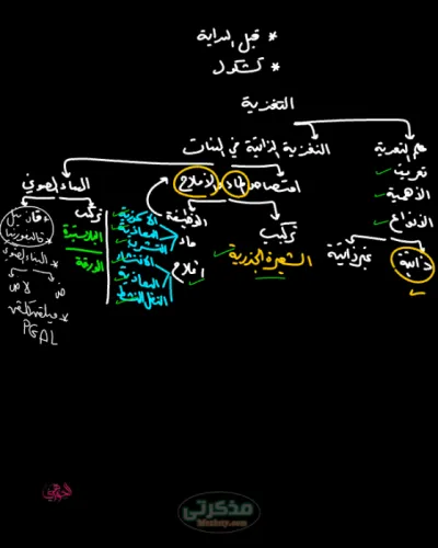 مراجعه مهمه في النبات ل دكتور احمد الجوهري لتالته ثانوي ترم اول PDF