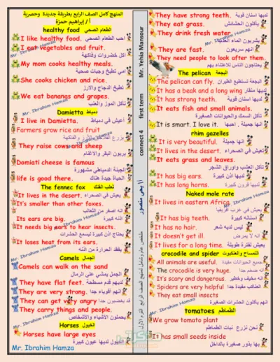 المنهج كامل للغة الإنجليزية الصف الرابع الابتدائي بطريقة جديدة وحصرية مع مستر ابراهيم حمزة PDF