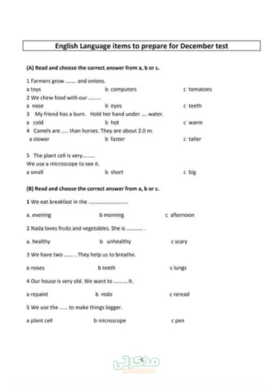 اسئله الوزاره لمنهج كونكت بلس لماده اللغه الانجليزيه الصف الرابع الابتدائي PDF