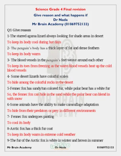 أهم الاسئلة المحلولة في مادة العلوم للصف الرابع الابتدائي لغات الترم الاول PDF