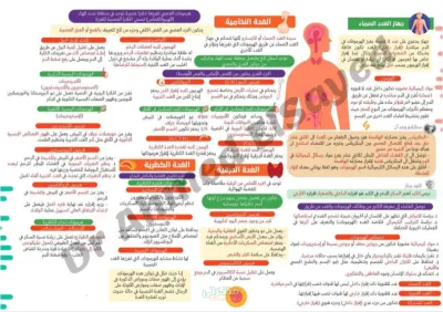 بوستر الهرمونات احياء للصف الثالث الثانوي PDF