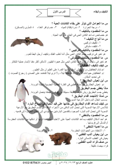 شرح جميع نقاط المنهج على شكل سؤال وجواب في العلوم للصف الرابع الابتدائي الترم الاول PDF