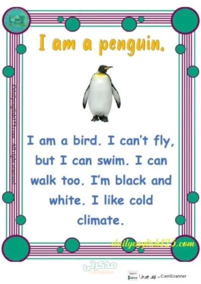 بوكليت لغة إنجليزية لتحسين القراءة والكتابة في اللغة الإنجليزية جميع المراحل PDF