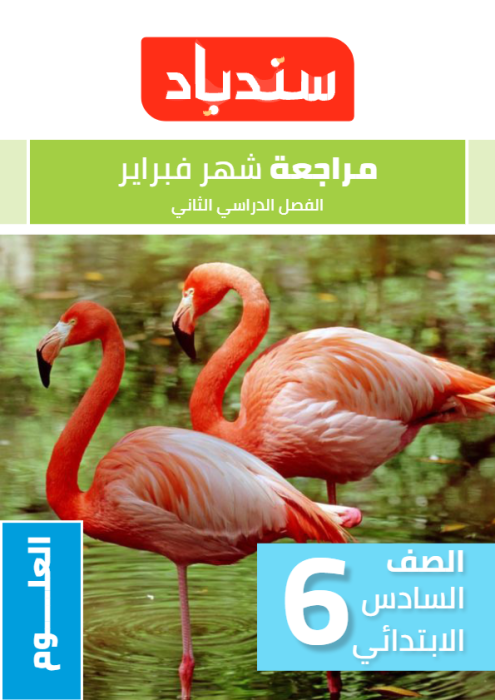 بالإجابات نماذج سندباد الاسترشادية في العلوم لسادسة ابتدائي مقرر فبراير 2025 PDF