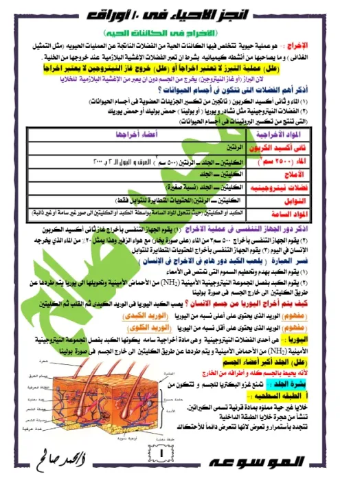 ملخص الأحياء في 10 ورقات بس! لتانية ثانوي ترم ثاني PDF