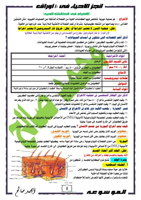 افضل ملخص لمادة الاحياء للصف الثانى الثانوى العام الترم التاني PDF