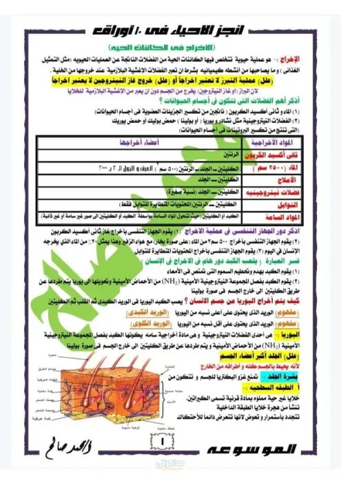 مراجعة ليلة الامتحان احياء تانية ثانوي الترم الثاني مستر محمد صالح PDF